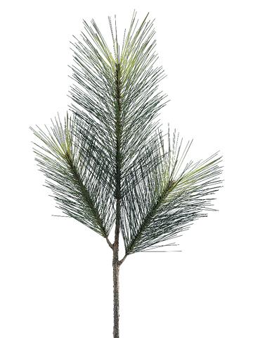 30"LONG NEEDLE PINE SP. GR/BR *