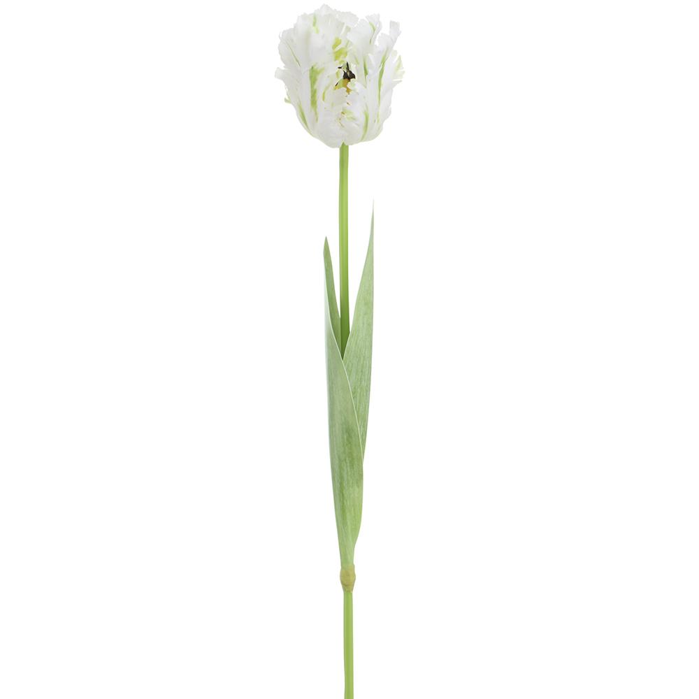 27" Parrot Tulip Spray - White + Green