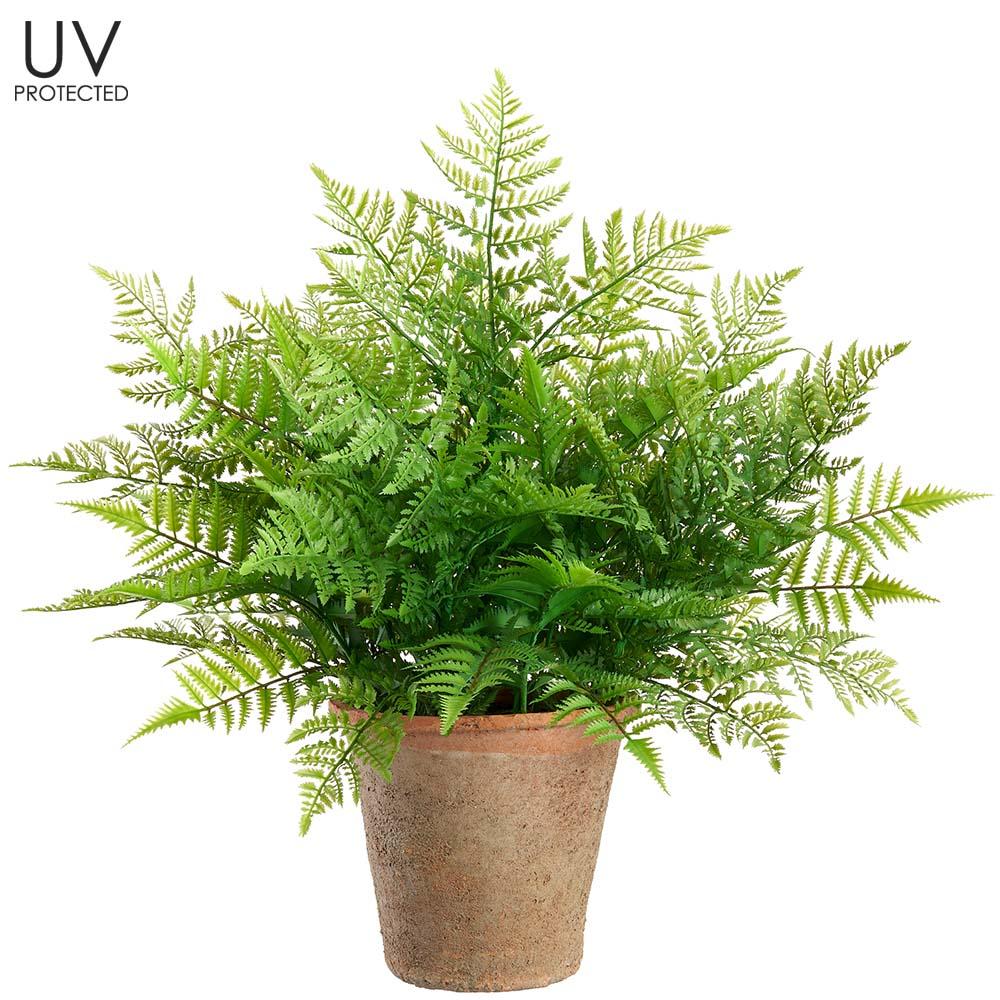 29"Uv Leather Fern In Clay Pot
