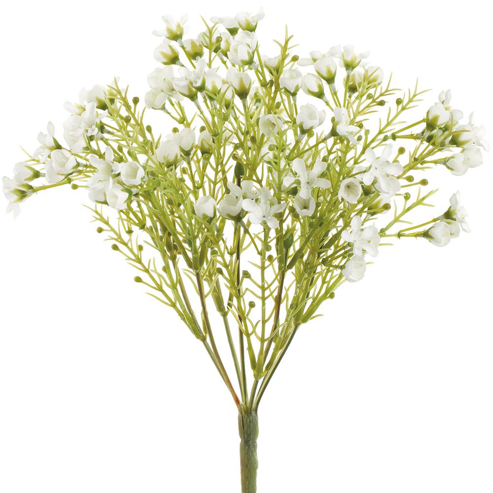 11" Small Waxflower