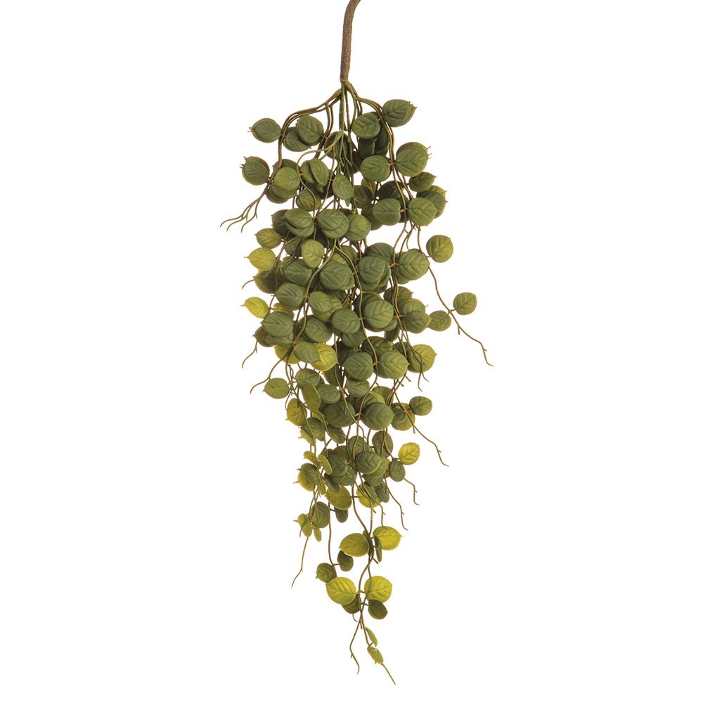 24"Button Leaf Hanging Spray