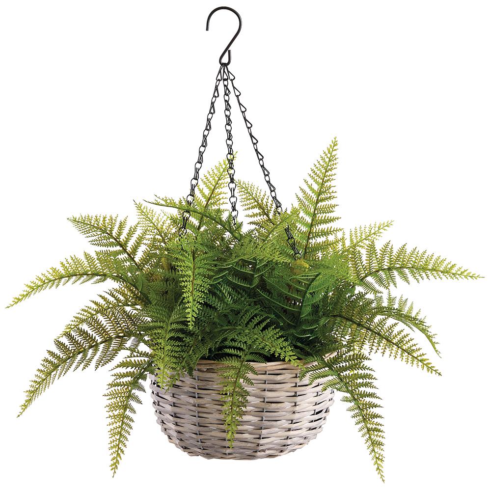 14" Leather Fern Hanging Basket