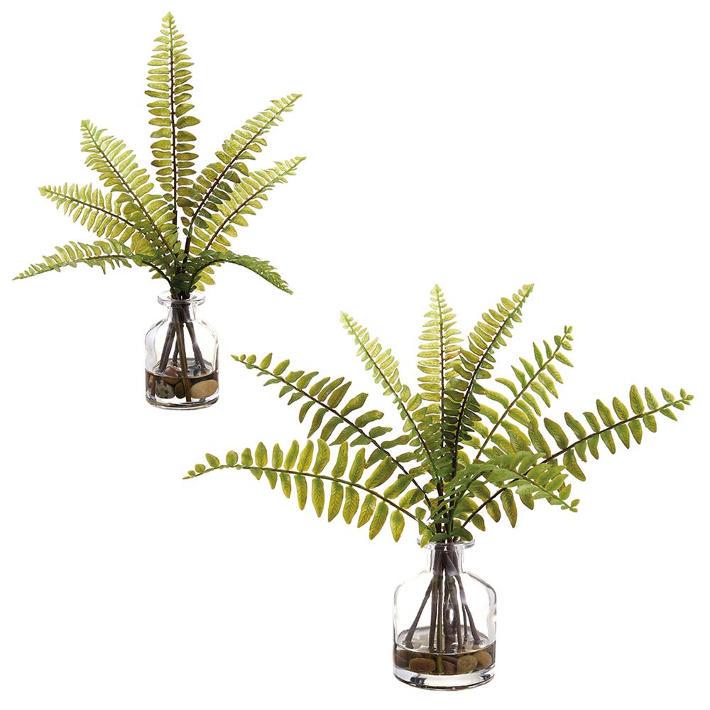 9-12"Boston Fern In Vase