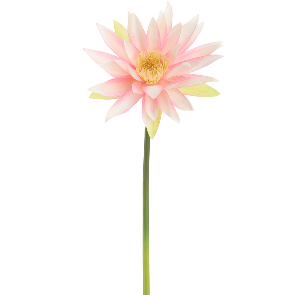 27" Water Lily Spray