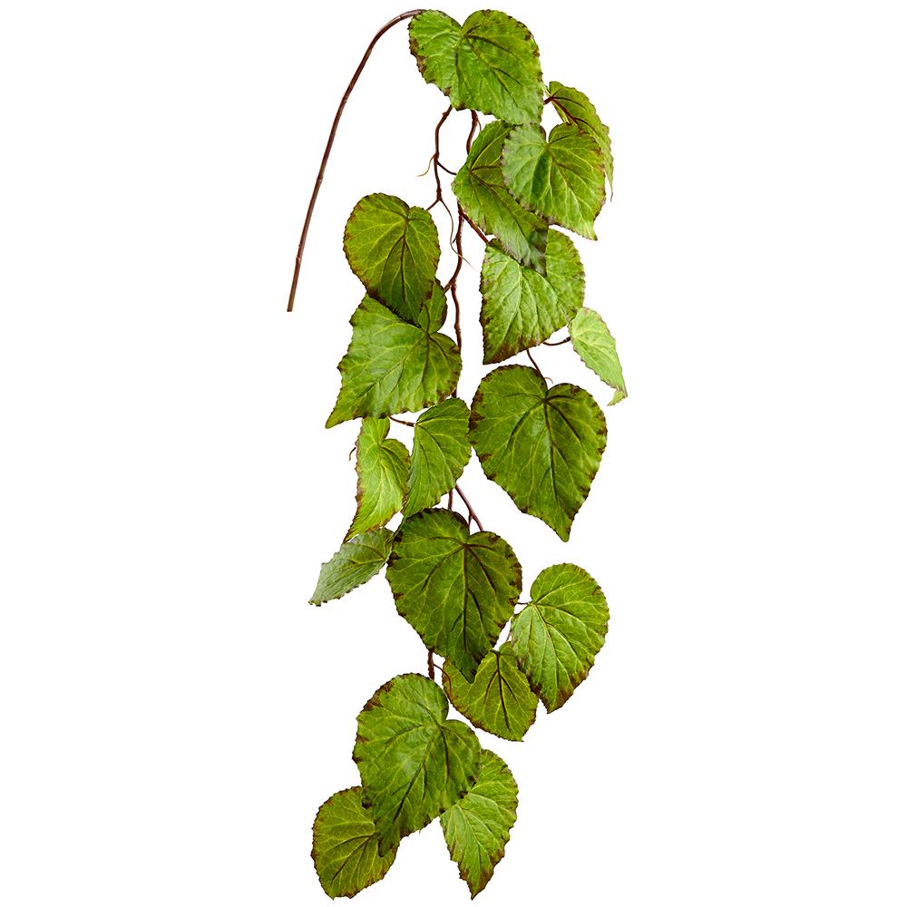 43" Begonia Leaf Hanging Spray - Green
