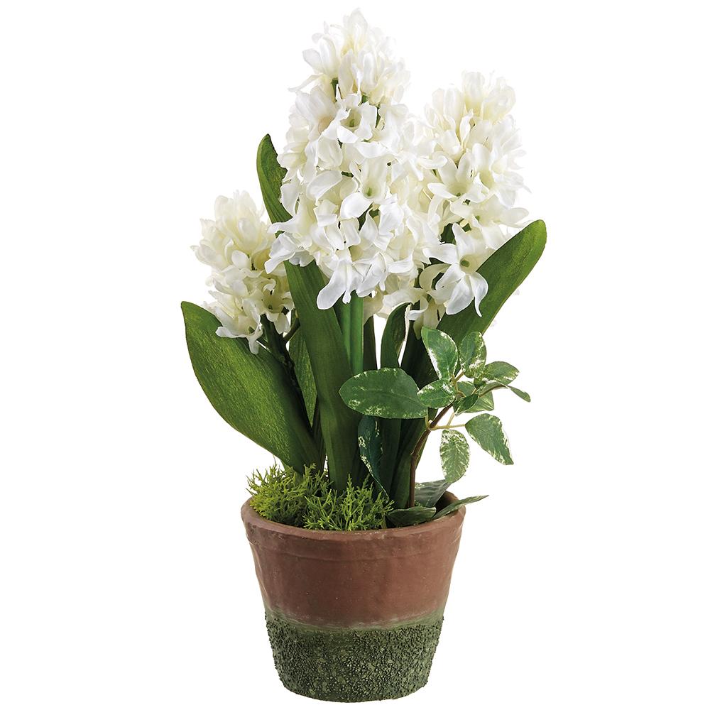 11"Hyacinth In Cement Pot - White