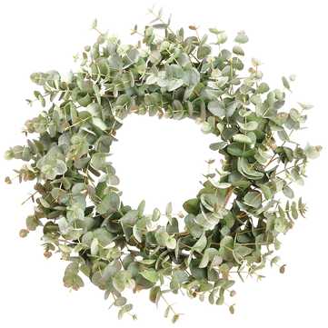 24"Eucalyptus Wreath