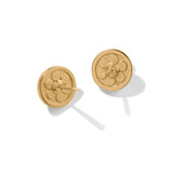 Contempo Post Earrings - Gold