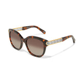 Brighton Intrigue Amber Sunglasses