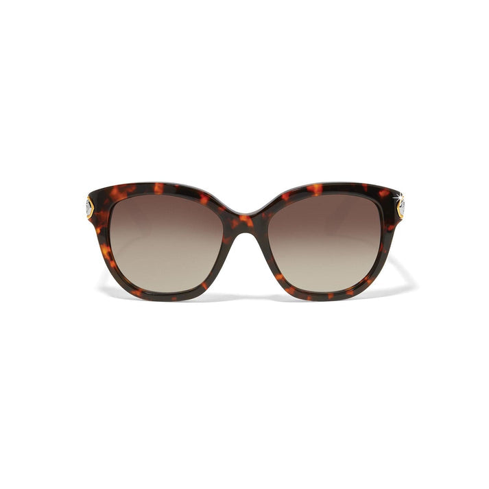 Brighton Intrigue Amber Sunglasses