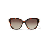 Brighton Intrigue Amber Sunglasses