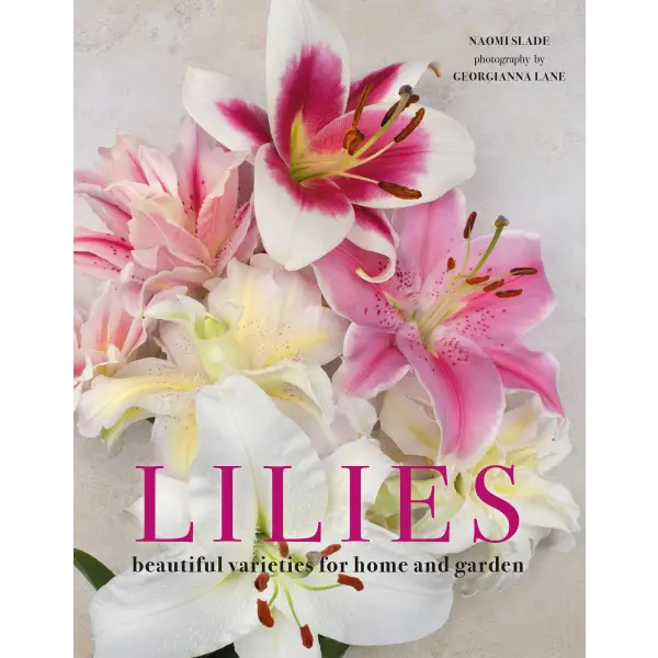 Lillies