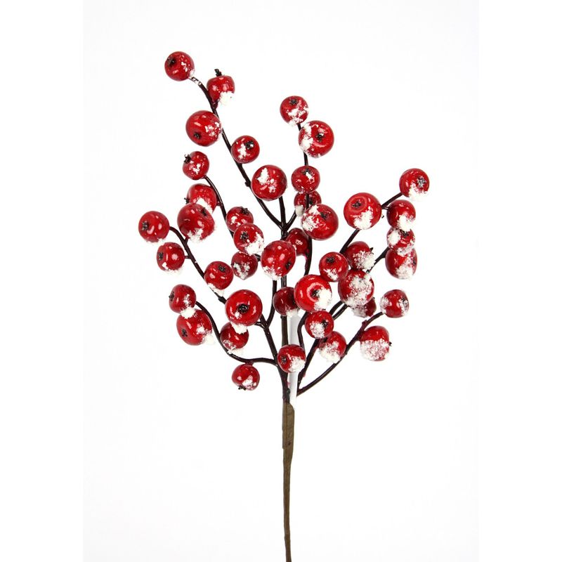 Snow Berry Pick - Red Wht