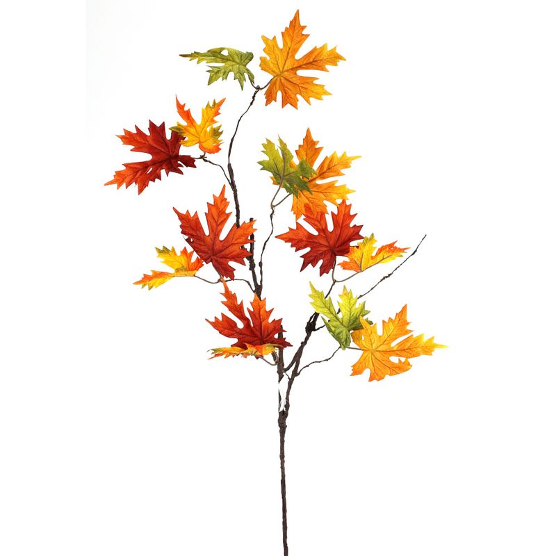 Maple Lvs Branch - Org Yel Grn
