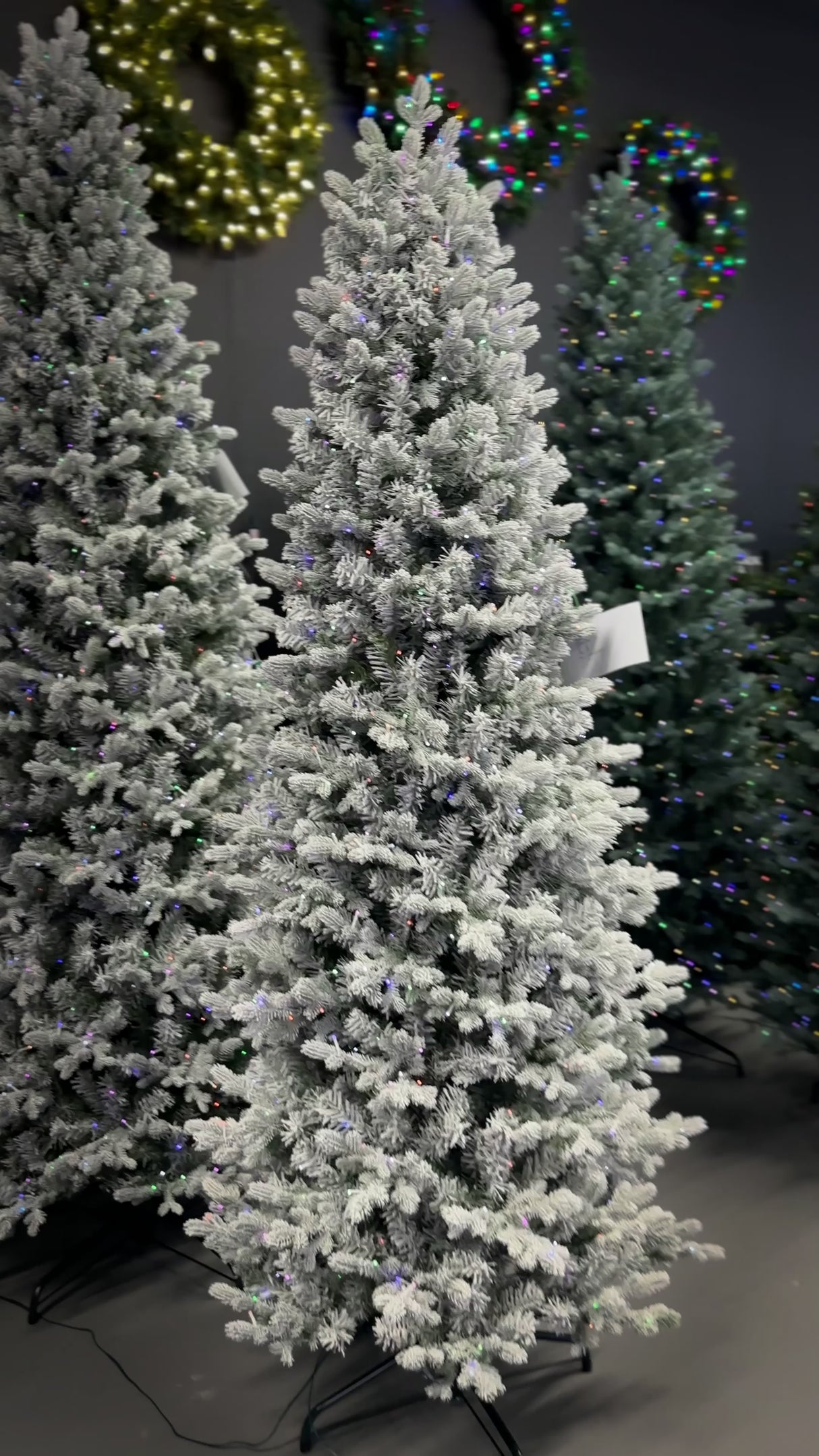 7.5 Ft. Noble Pole Fir - Flocked