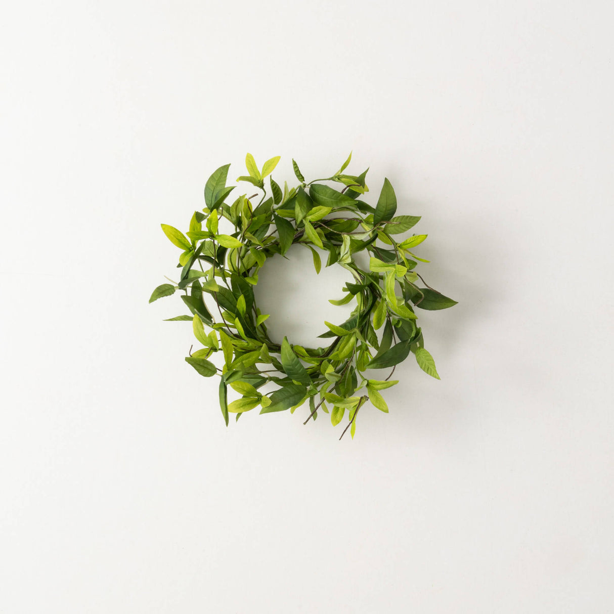 4.5" Ruscus Twig Ring