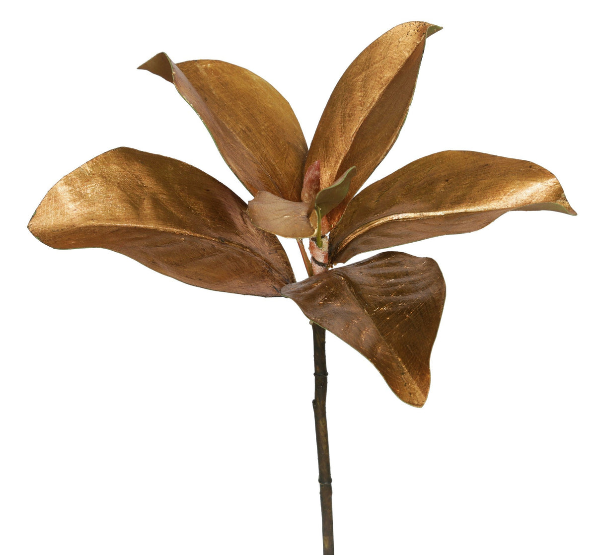 MAGNOLIA LEAF PICK 14''