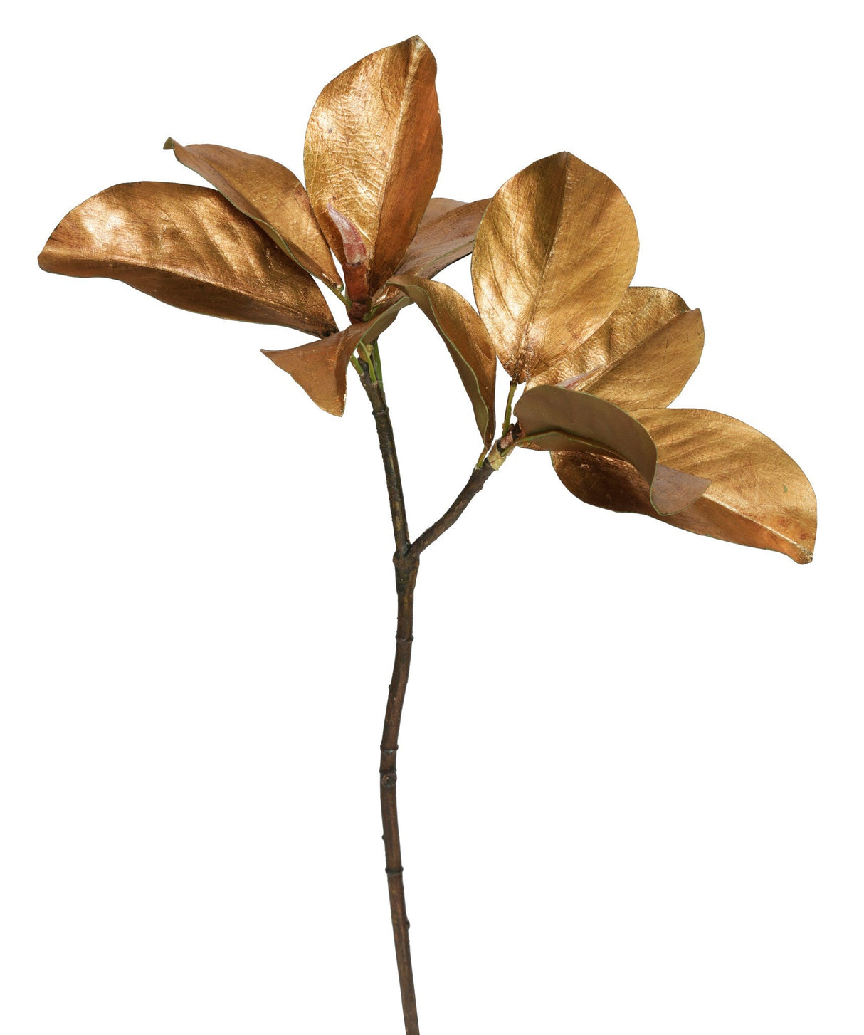 MAGNOLIA LEAF PICK 25''
