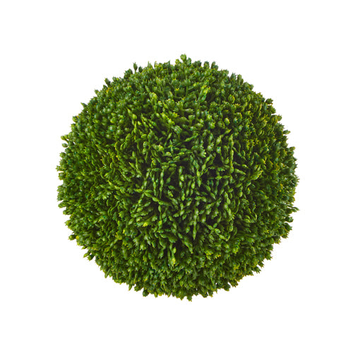 5.5" Green Sedum Ball