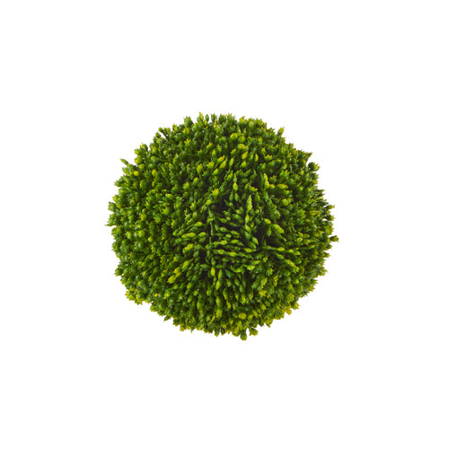 4" Green Sedum Ball