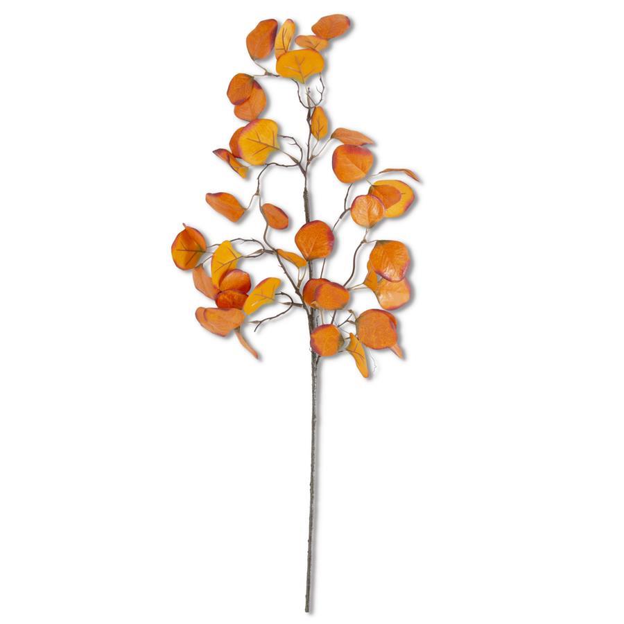 28" Orange Gumdrop Eucalyptus Stem