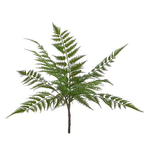 18" Fern Bush