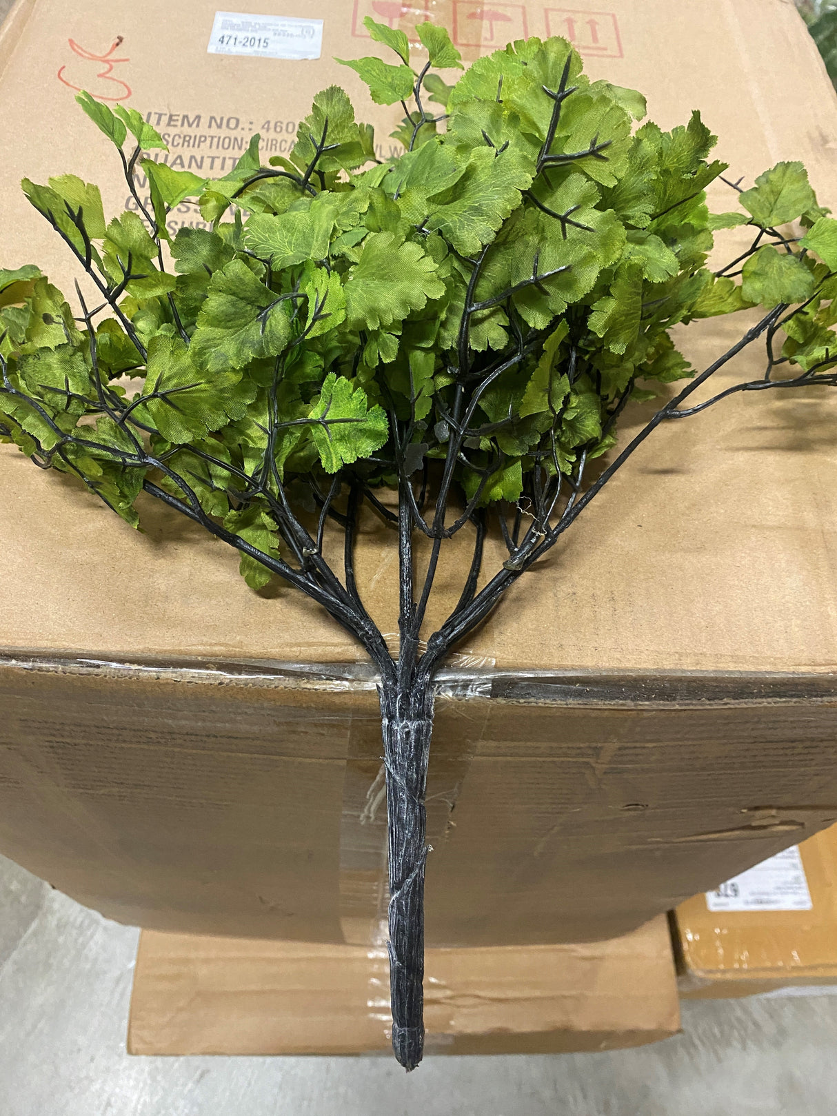 15"Maiden Hair Fern Bush