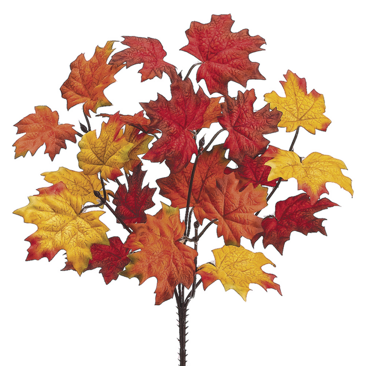 13" Maple Leaf Bush