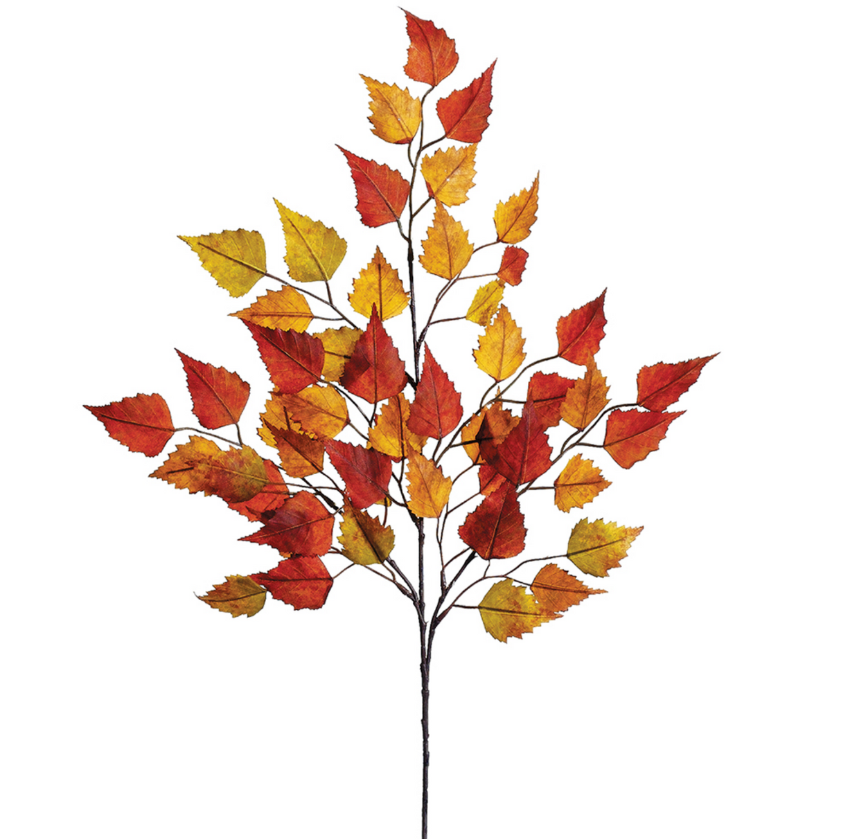 26"Birch Leaf Spray Bc/Gr