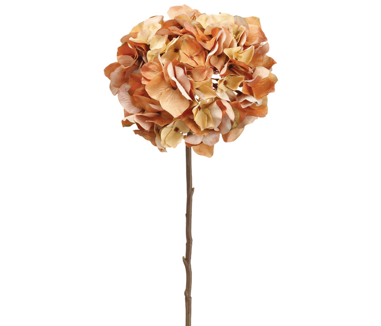 30"Hydrangea Spray - Amber