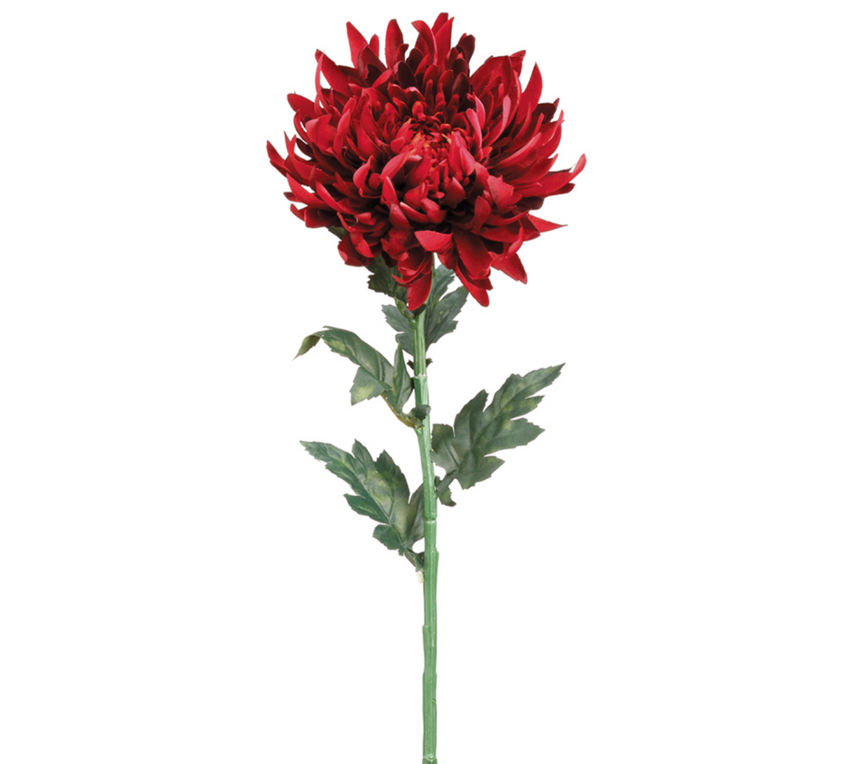 24" Burgandy Chrysanthemum Spray