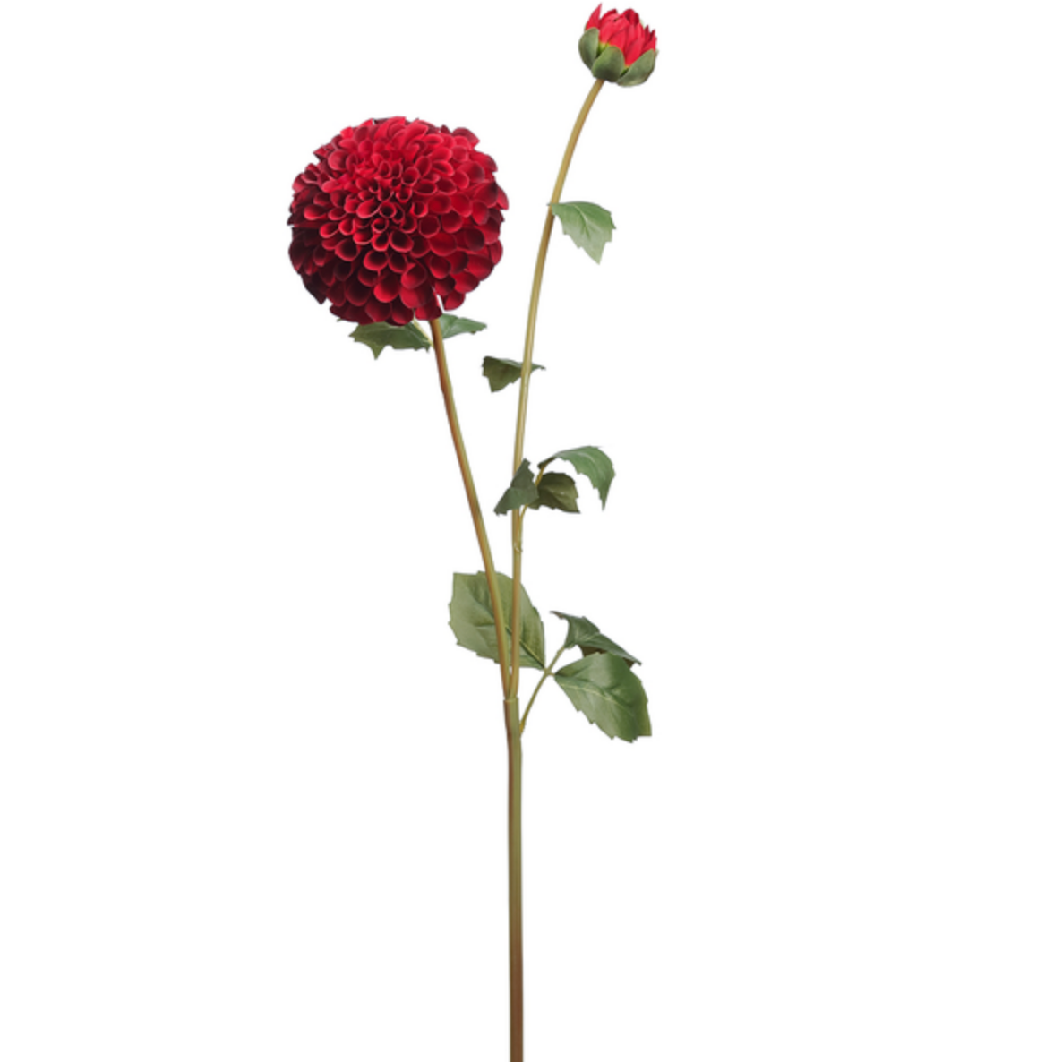 31"Red Dahlia