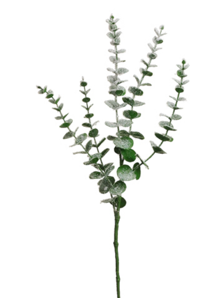 29"Gl/Sn Eucalyptus Spray Whgr