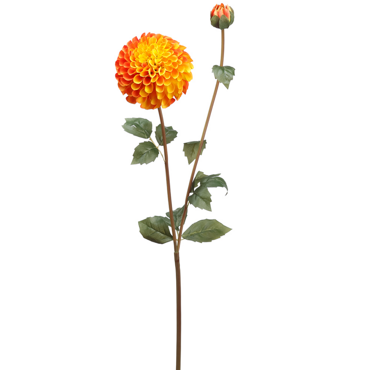 31"Orange Dahlia