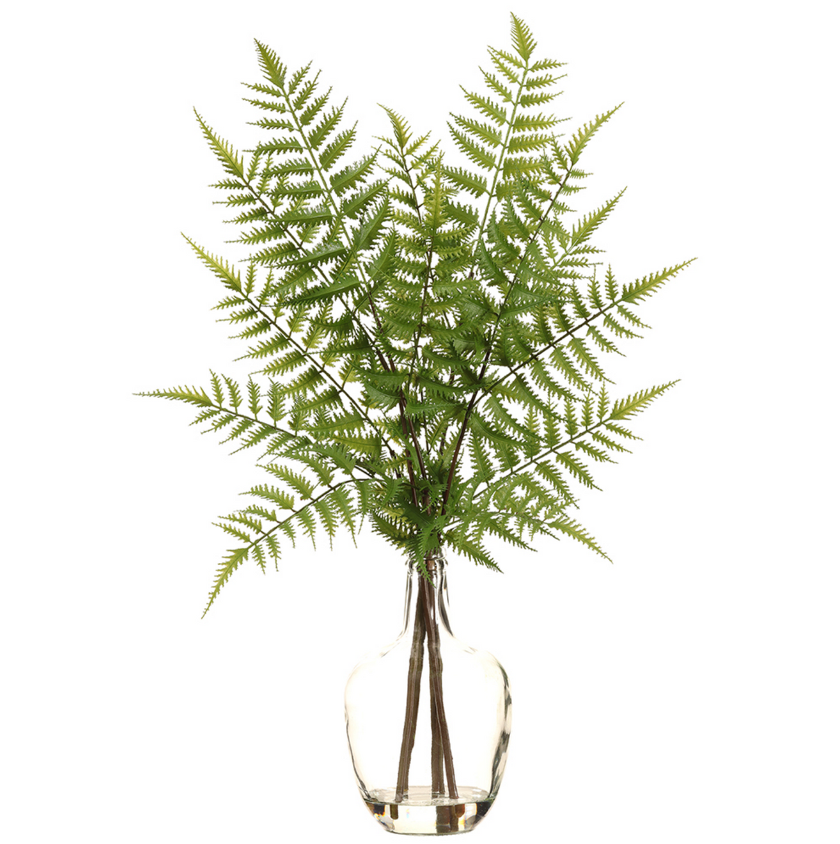 27"FOREST FERN IN GLASS VASE