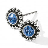 Twinkle Mini Post Earrings