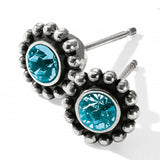 Twinkle Mini Post Earrings